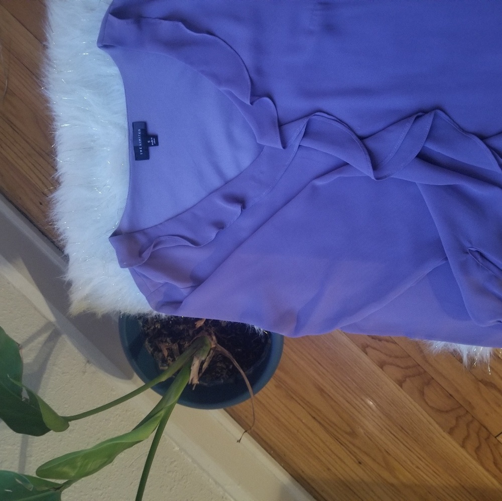 The Limited Blouse